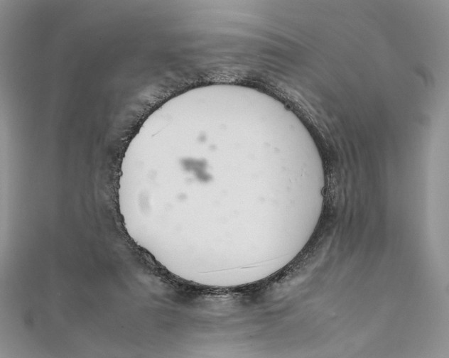 X0000112010307200908241500
