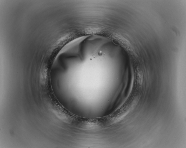 X0000112010308200908241500