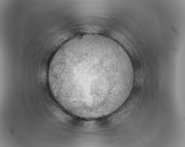 X0000112010309200908241500