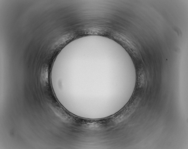 X0000112010310200908241500