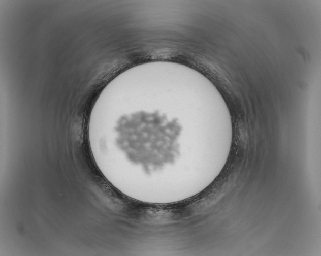X0000112010311200908241500