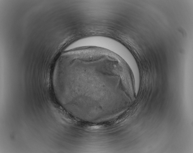 X0000112010312200908241500