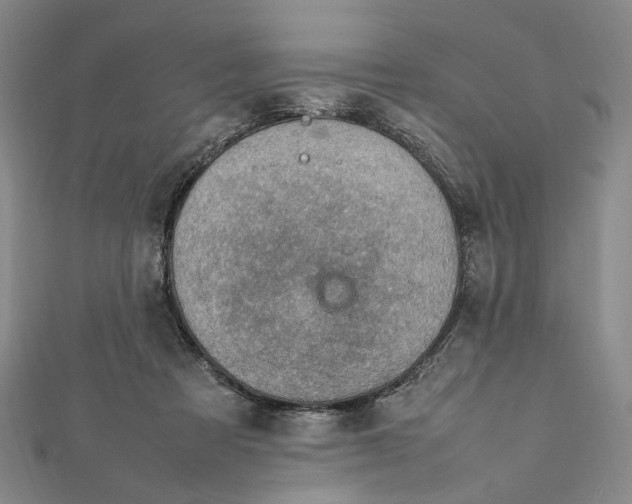 X0000112010313200908241500