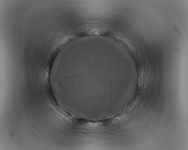 X0000112010314200908241500