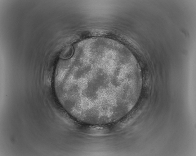 X0000112010315200908241500