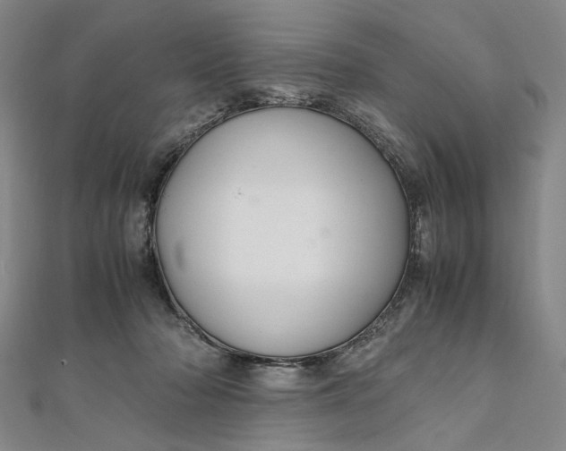 X0000112010318200908241500