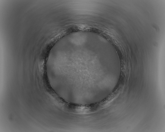 X0000112010319200908241500