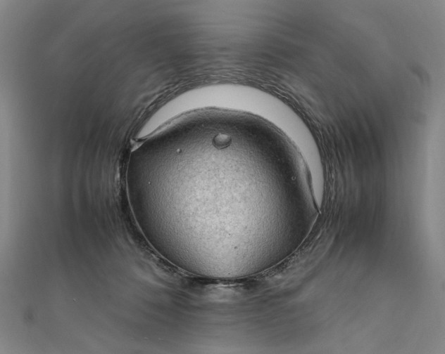 X0000112010320200908241500