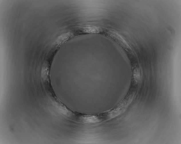 X0000112010322200908241500