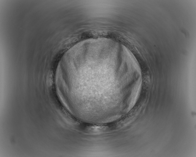X0000112010323200908241500