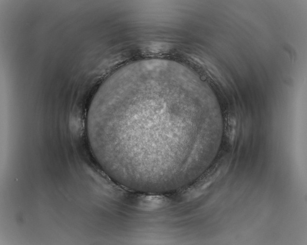 X0000112010324200908241500