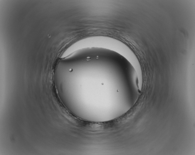 X0000112010325200908241500