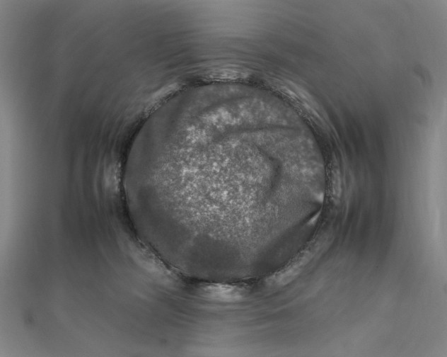 X0000112010326200908241500