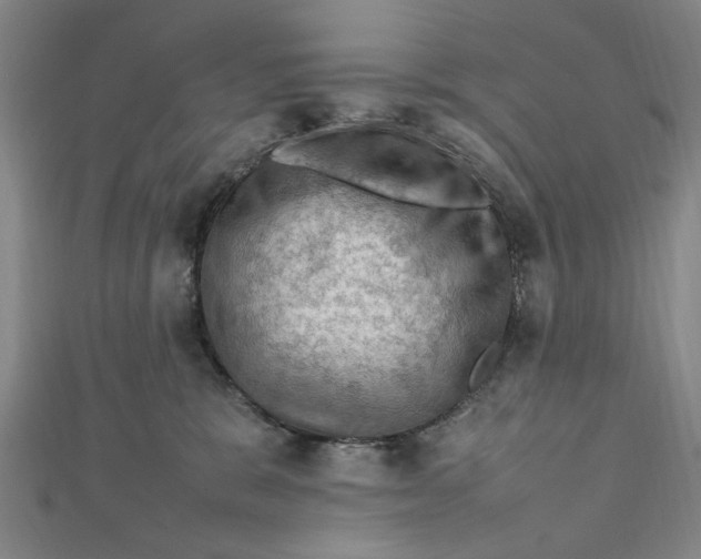 X0000112010327200908241500