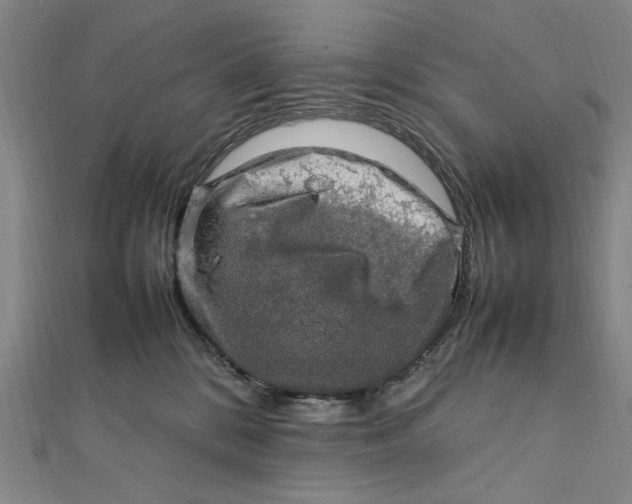 X0000112010328200908241500