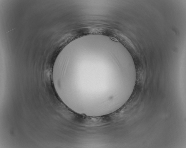 X0000112010329200908241500