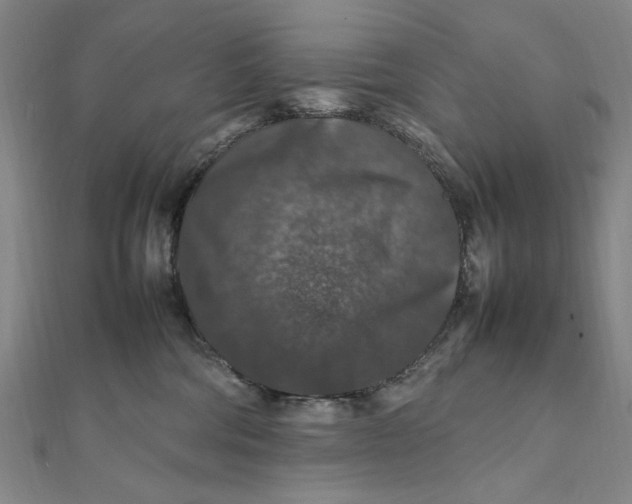 X0000112010330200908241500