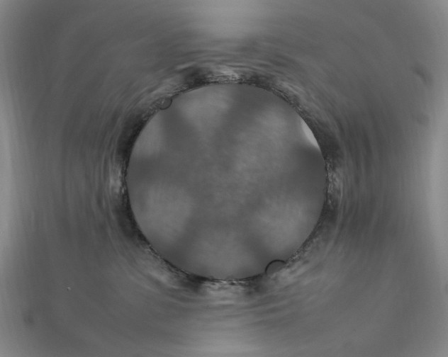 X0000112010331200908241500