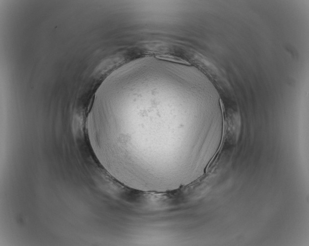 X0000112010333200908241500