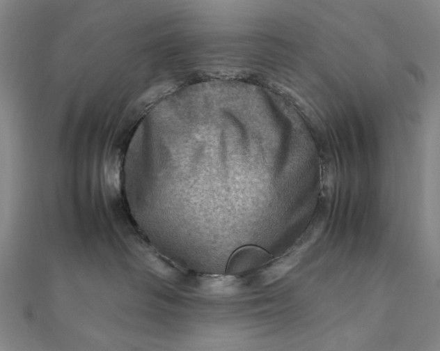 X0000112010334200908241500
