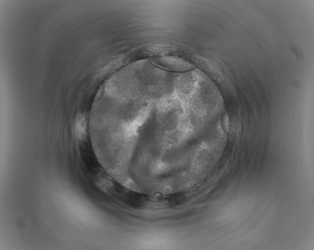 X0000112010335200908241500