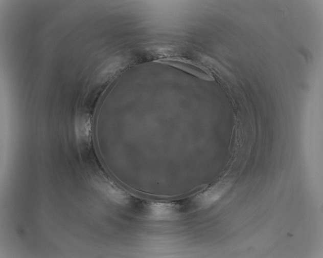 X0000112010336200908241500