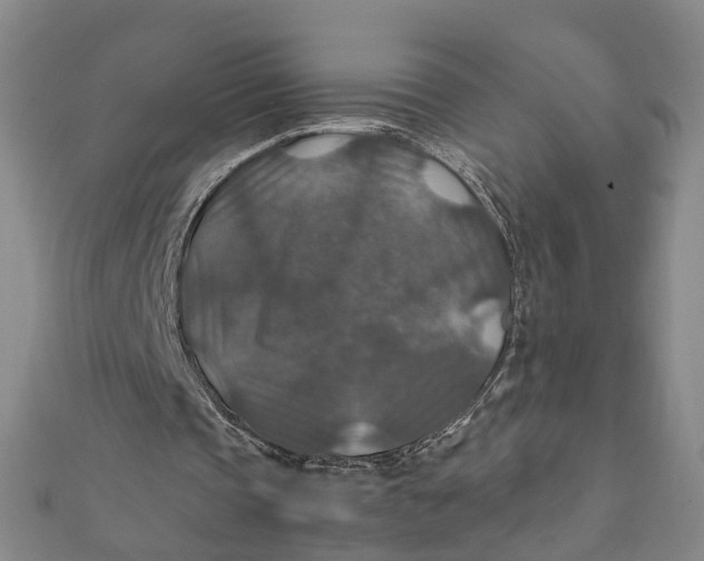 X0000112010337200908241459