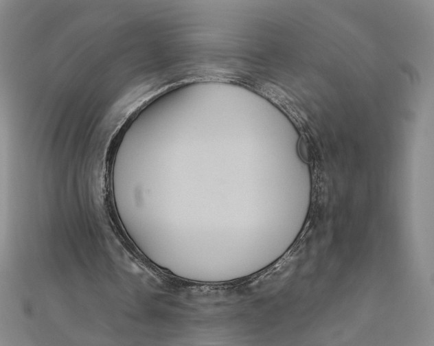 X0000112010338200908241459