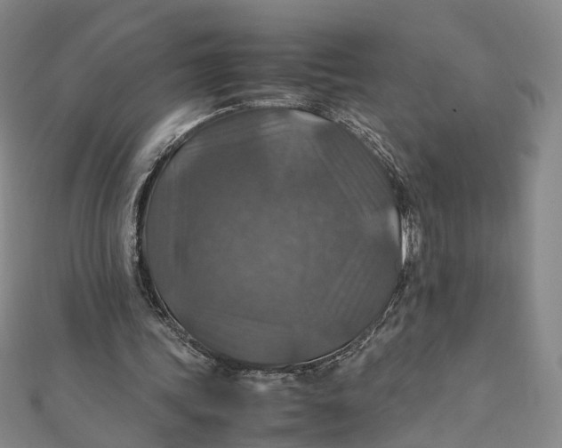 X0000112010339200908241459