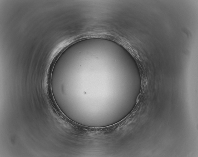 X0000112010340200908241459