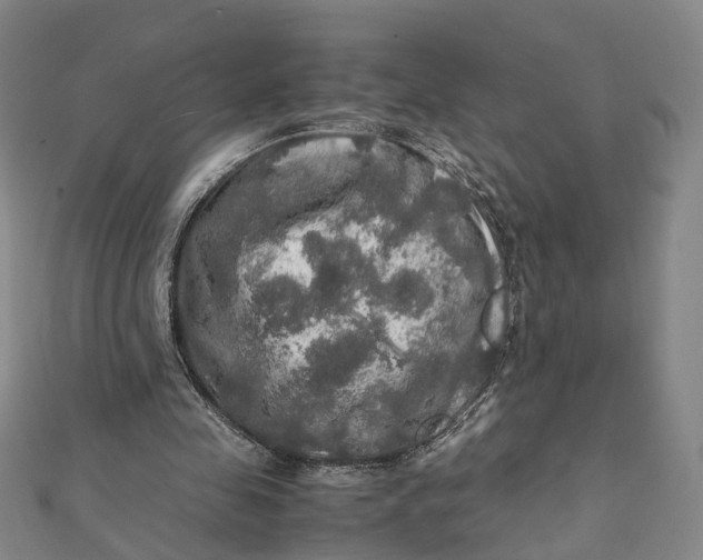 X0000112010341200908241459