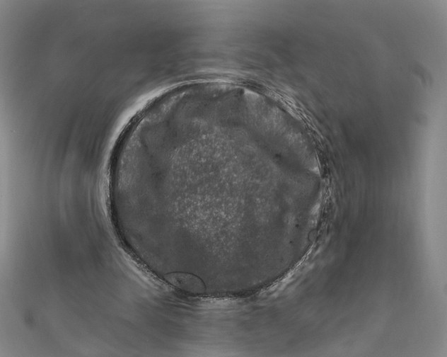 X0000112010342200908241459