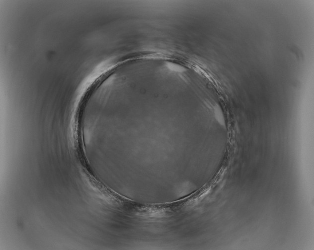 X0000112010343200908241459