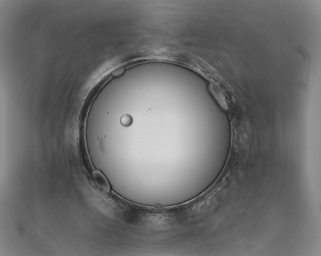 X0000112010344200908241459