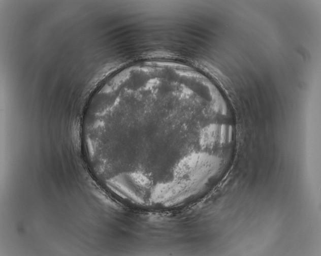 X0000112010345200908241459