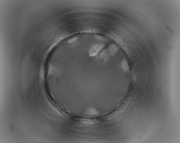 X0000112010347200908241459