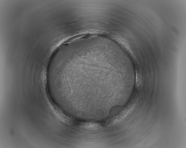 X0000112010348200908241459