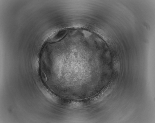 X0000112010350200908241459