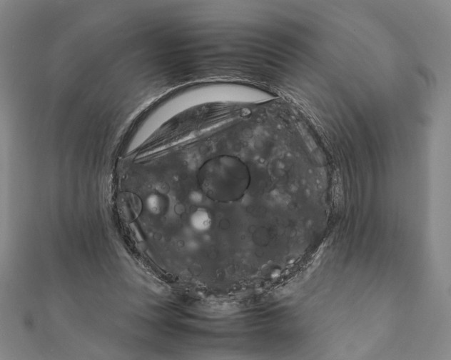 X0000112010351200908241459