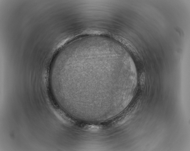 X0000112010352200908241500