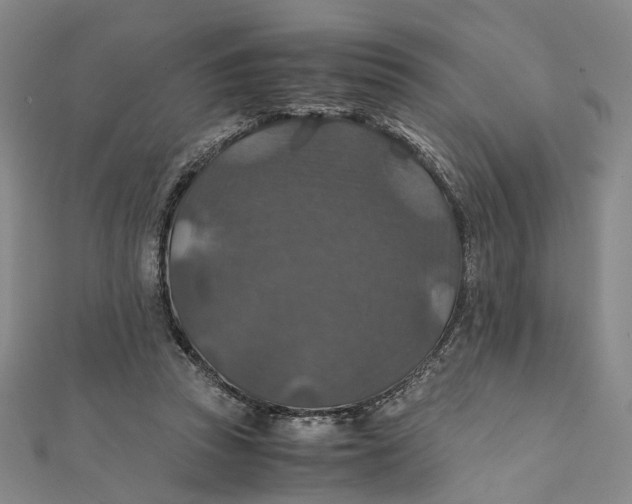 X0000112010353200908241500