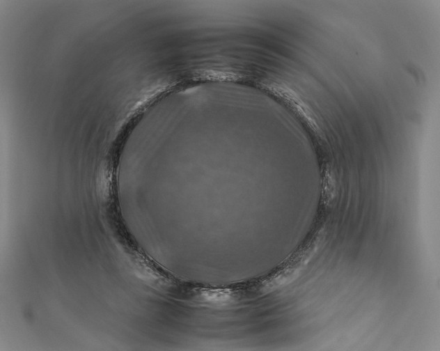 X0000112010355200908241500