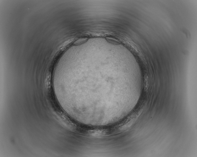 X0000112010356200908241500