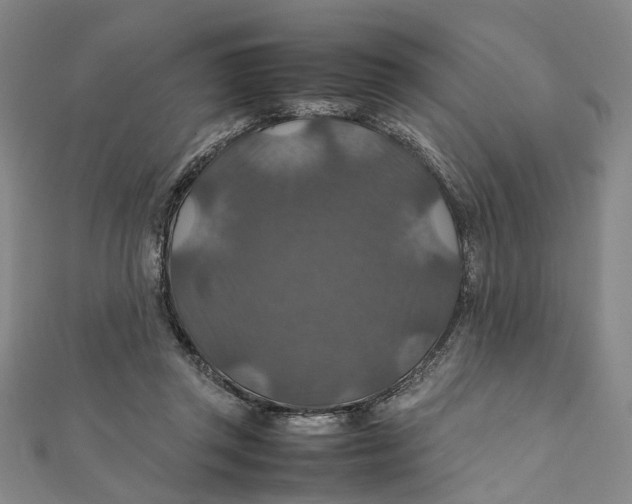 X0000112010357200908241500