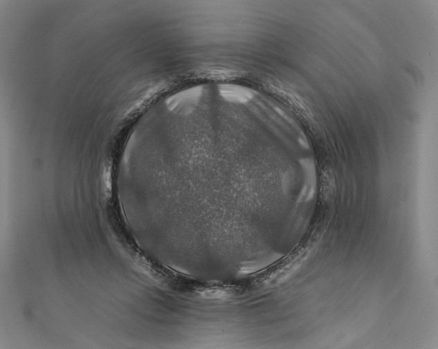 X0000112010358200908241500