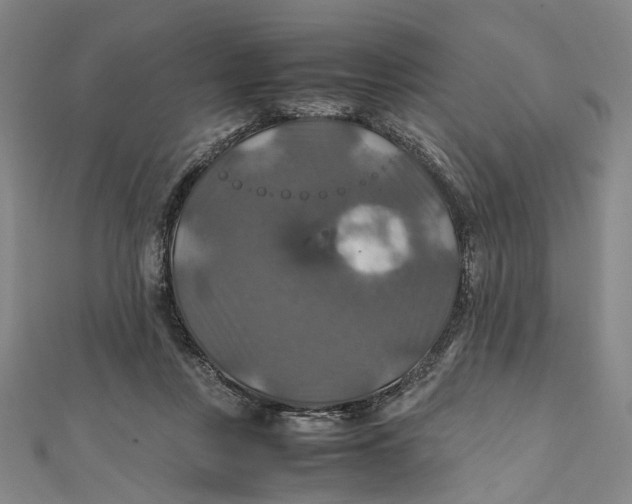 X0000112010359200908241500