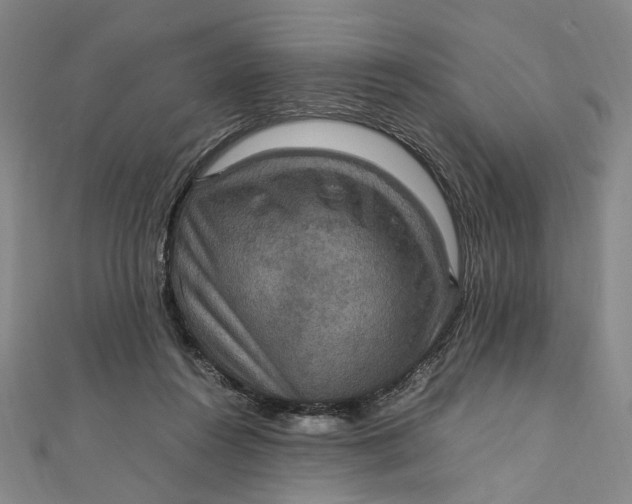 X0000112010360200908241500