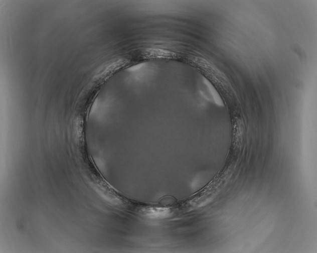 X0000112010361200908241500