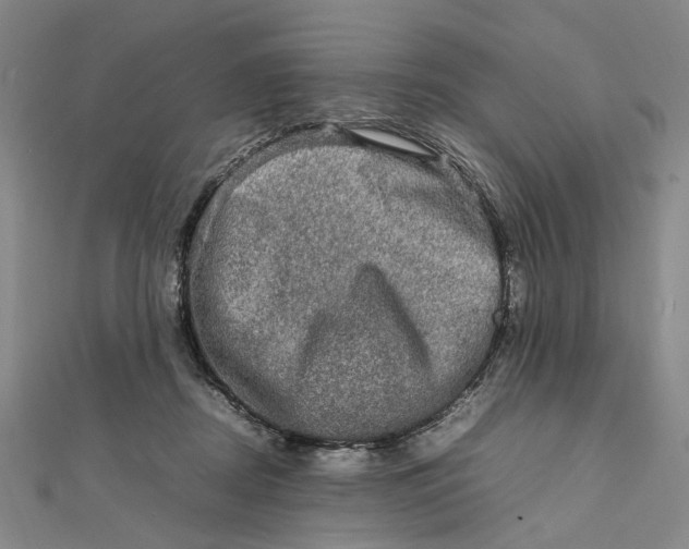 X0000112010362200908241500