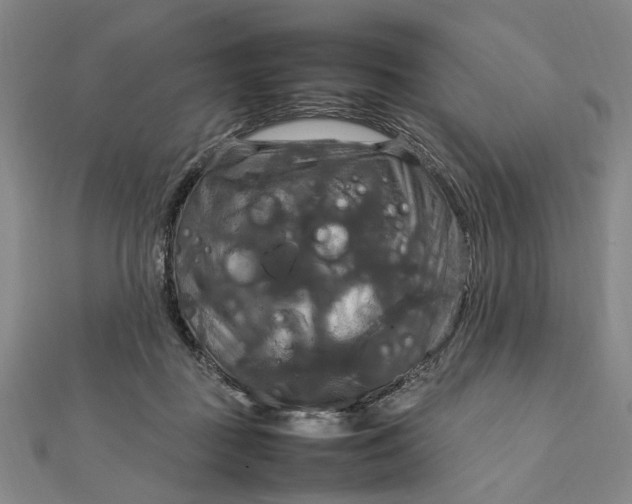 X0000112010363200908241500